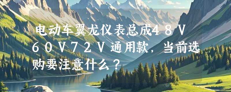 电动车翼龙仪表总成48V60V72V通用款，当前选购要注意什么？