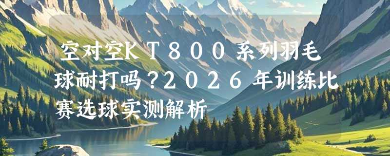 空对空KT800系列羽毛球耐打吗？2026年训练比赛选球实测解析