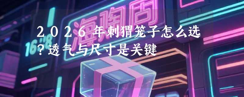 2026年刺猬笼子怎么选？透气与尺寸是关键