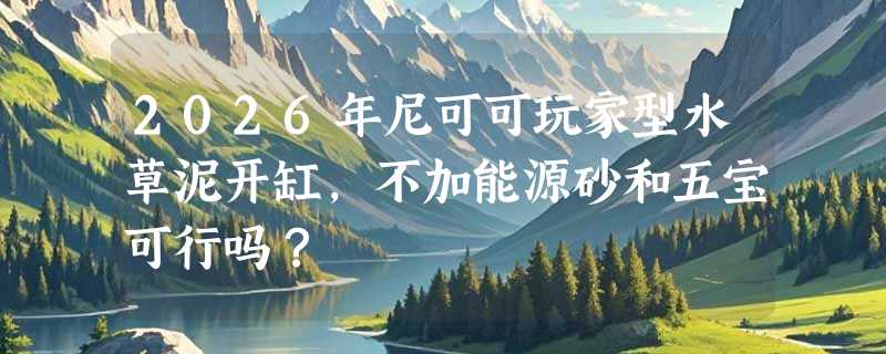 2026年尼可可玩家型水草泥开缸，不加能源砂和五宝可行吗？