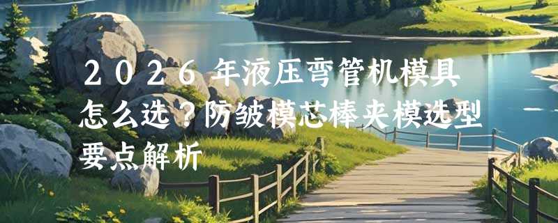 2026年液压弯管机模具怎么选？防皱模芯棒夹模选型要点解析