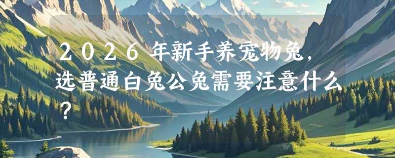 2026年新手养宠物兔，选普通白兔公兔需要注意什么？