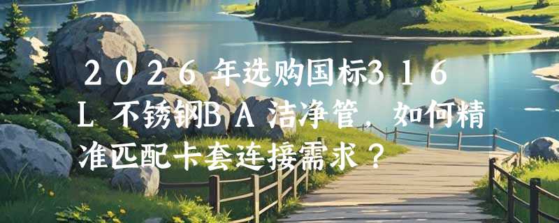 2026年选购国标316L不锈钢BA洁净管，如何精准匹配卡套连接需求？