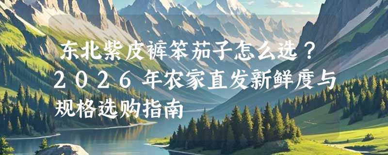 东北紫皮裤笨茄子怎么选？2026年农家直发新鲜度与规格选购指南