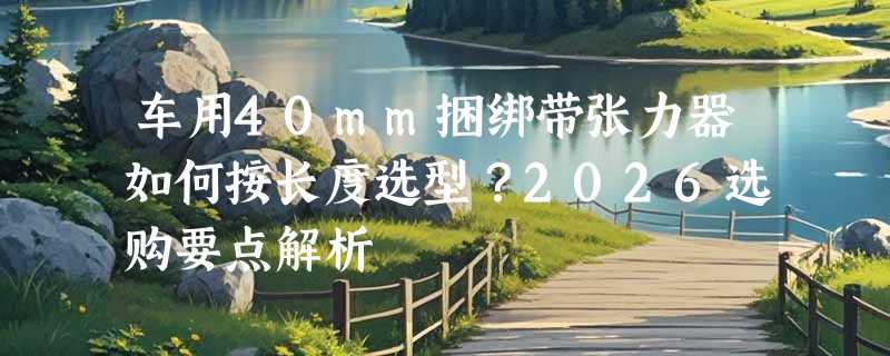 车用40mm捆绑带张力器如何按长度选型？2026选购要点解析