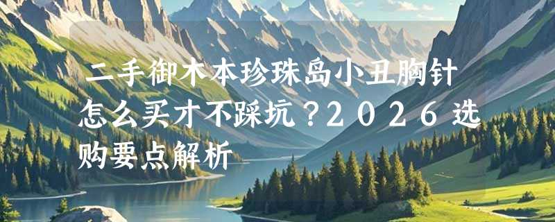 二手御木本珍珠岛小丑胸针怎么买才不踩坑？2026选购要点解析