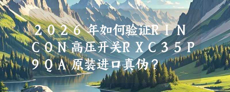 2026年如何验证RINCON高压开关RXC35P9QA原装进口真伪？