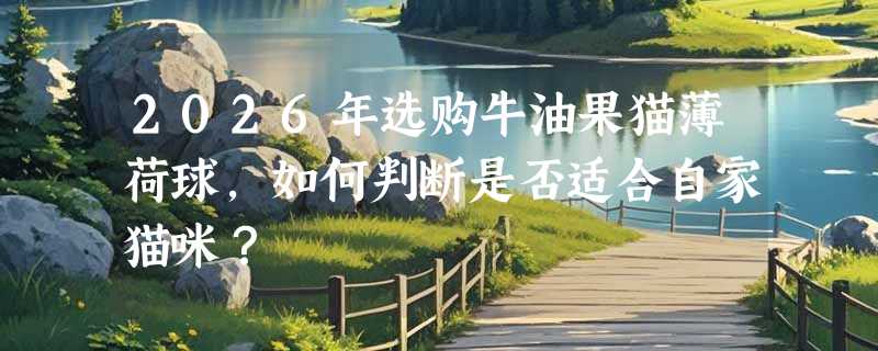 2026年选购牛油果猫薄荷球，如何判断是否适合自家猫咪？