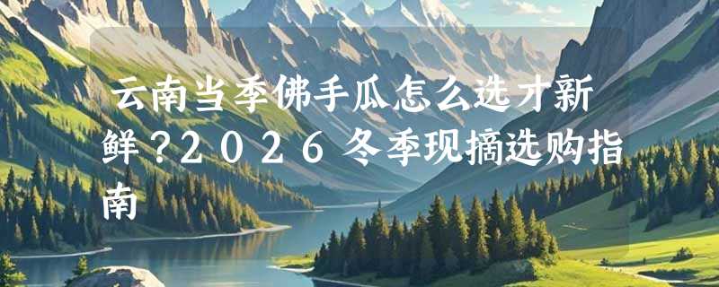 云南当季佛手瓜怎么选才新鲜？2026冬季现摘选购指南
