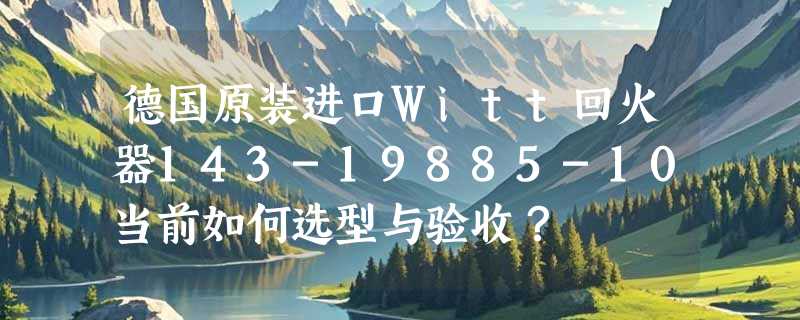 德国原装进口Witt回火器143-19885-10当前如何选型与验收？