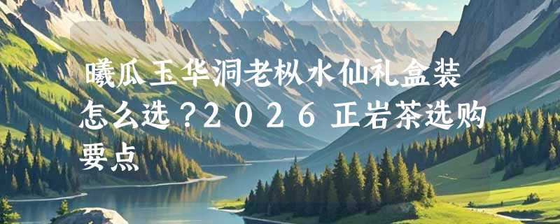 曦瓜玉华洞老枞水仙礼盒装怎么选？2026正岩茶选购要点