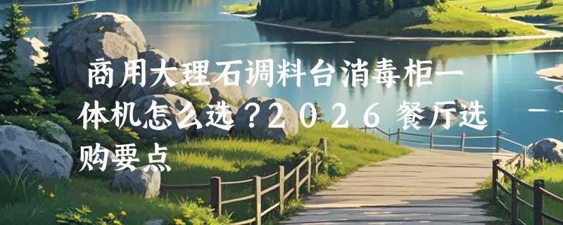 商用大理石调料台消毒柜一体机怎么选？2026餐厅选购要点