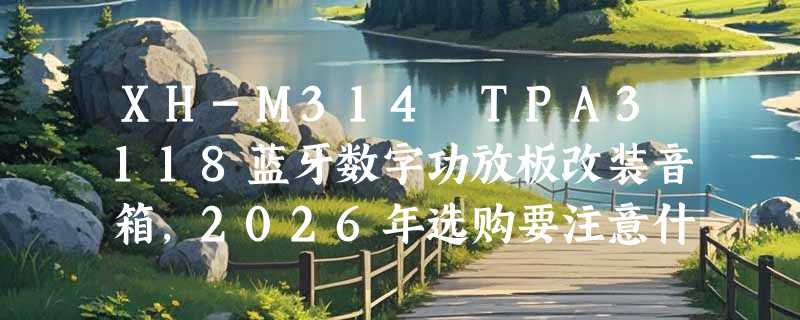 XH-M314 TPA3118蓝牙数字功放板改装音箱，2026年选购要注意什么？