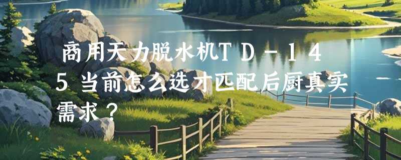 商用天力脱水机TD-145当前怎么选才匹配后厨真实需求？