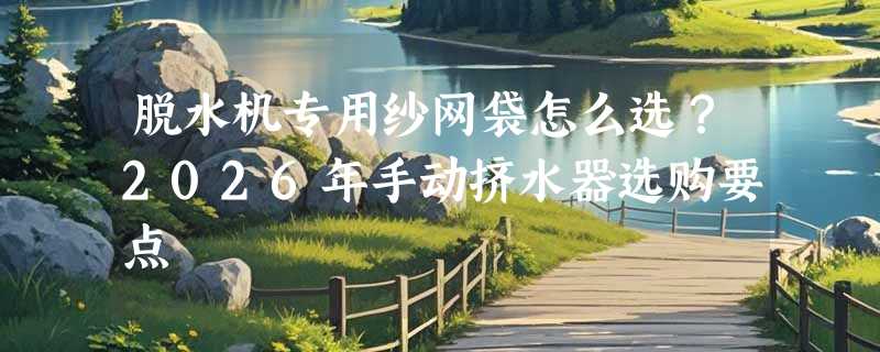 脱水机专用纱网袋怎么选？2026年手动挤水器选购要点
