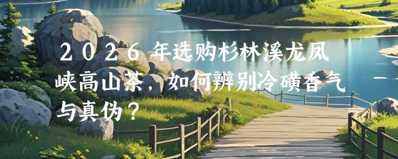 2026年选购杉林溪龙凤峡高山茶，如何辨别冷磺香气与真伪？
