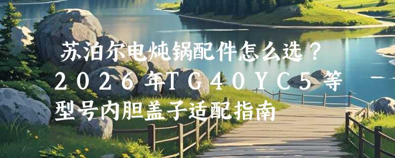 苏泊尔电炖锅配件怎么选？2026年TG40YC5等型号内胆盖子适配指南