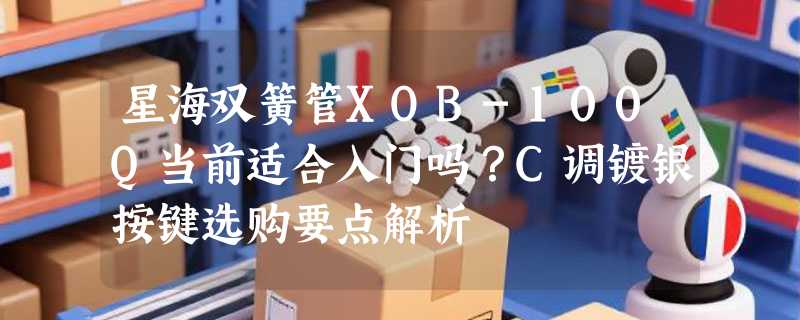 星海双簧管XOB-100Q当前适合入门吗？C调镀银按键选购要点解析