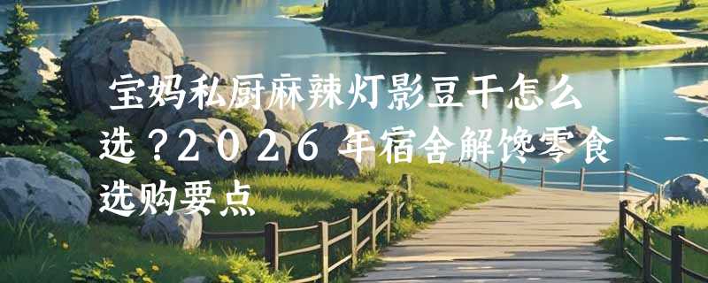 宝妈私厨麻辣灯影豆干怎么选？2026年宿舍解馋零食选购要点