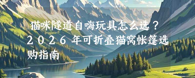 猫咪隧道自嗨玩具怎么选？2026年可折叠猫窝帐篷选购指南