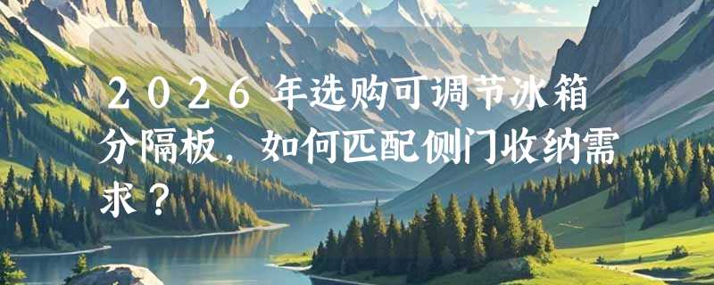 2026年选购可调节冰箱分隔板，如何匹配侧门收纳需求？