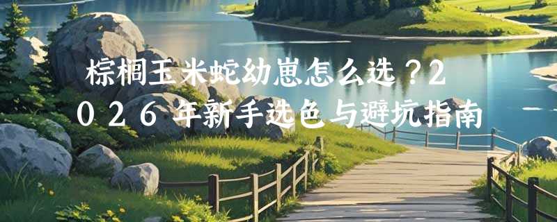 棕榈玉米蛇幼崽怎么选？2026年新手选色与避坑指南