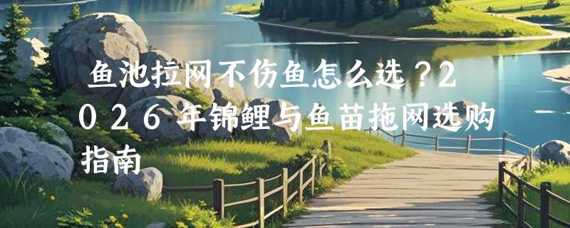 鱼池拉网不伤鱼怎么选？2026年锦鲤与鱼苗拖网选购指南