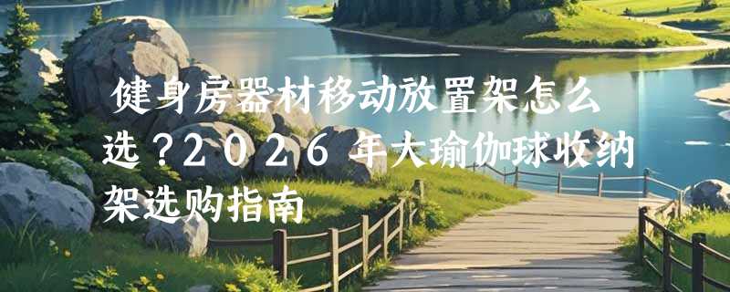 健身房器材移动放置架怎么选？2026年大瑜伽球收纳架选购指南