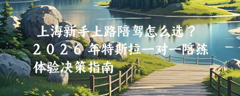 上海新手上路陪驾怎么选？2026年特斯拉一对一陪练体验决策指南