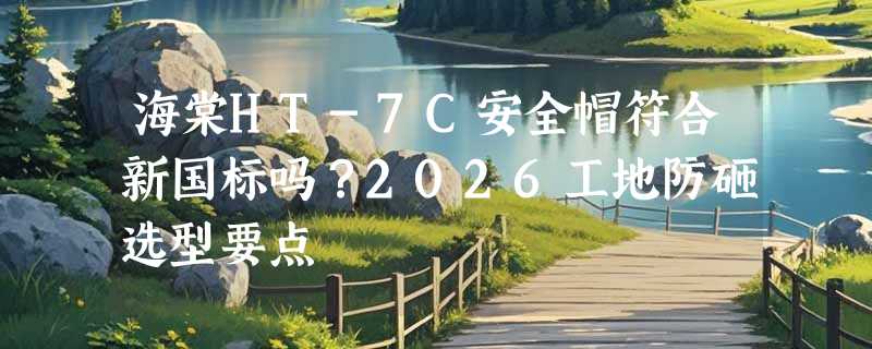 海棠HT-7C安全帽符合新国标吗？2026工地防砸选型要点