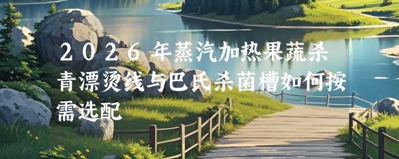 2026年蒸汽加热果蔬杀青漂烫线与巴氏杀菌槽如何按需选配