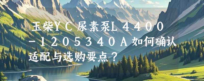 玉柴YC尿素泵L4400-1205340A如何确认适配与选购要点？