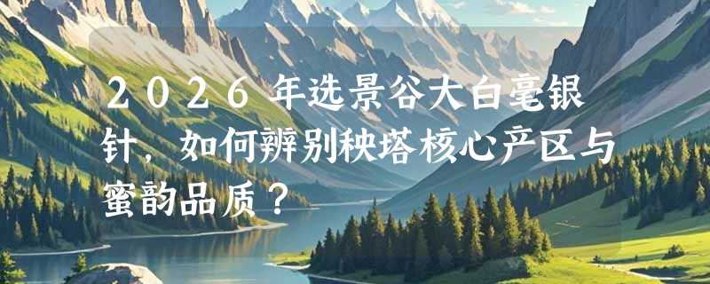 2026年选景谷大白毫银针，如何辨别秧塔核心产区与蜜韵品质？