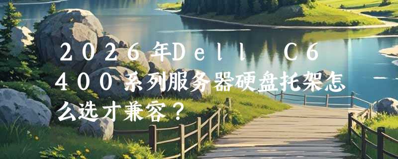 2026年Dell C6400系列服务器硬盘托架怎么选才兼容？