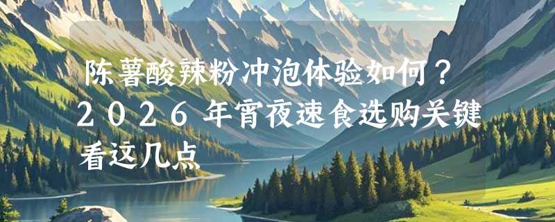 陈薯酸辣粉冲泡体验如何？2026年宵夜速食选购关键看这几点