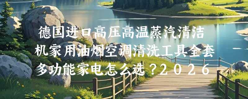 德国进口高压高温蒸汽清洁机家用油烟空调清洗工具全套多功能家电怎么选？2026选购要点
