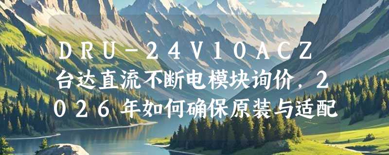 DRU-24V10ACZ台达直流不断电模块询价，2026年如何确保原装与适配？