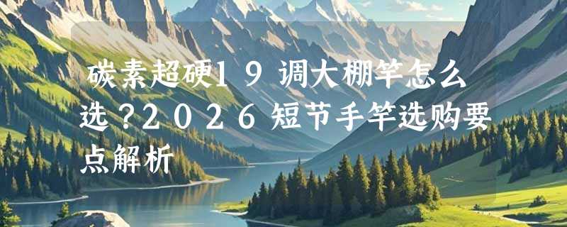 碳素超硬19调大棚竿怎么选？2026短节手竿选购要点解析