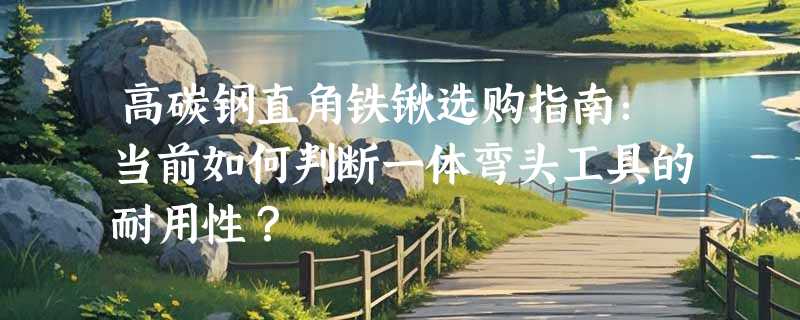 高碳钢直角铁锹选购指南：当前如何判断一体弯头工具的耐用性？