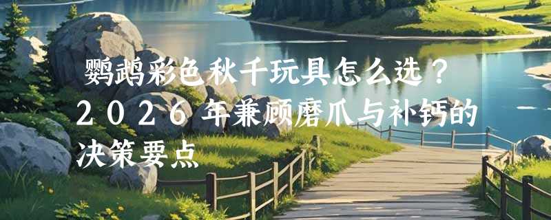 鹦鹉彩色秋千玩具怎么选？2026年兼顾磨爪与补钙的决策要点