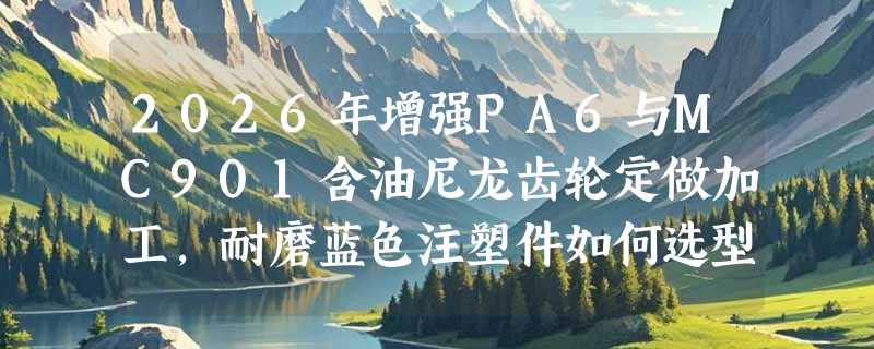 2026年增强PA6与MC901含油尼龙齿轮定做加工，耐磨蓝色注塑件如何选型？