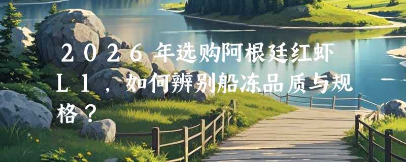 2026年选购阿根廷红虾L1，如何辨别船冻品质与规格？