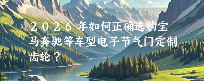 2026年如何正确选购宝马奔驰等车型电子节气门定制齿轮？