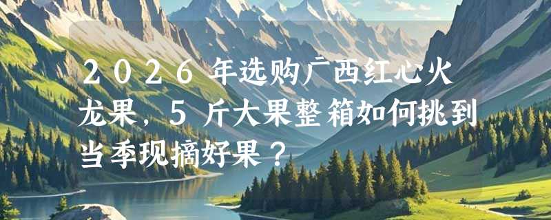 2026年选购广西红心火龙果，5斤大果整箱如何挑到当季现摘好果？