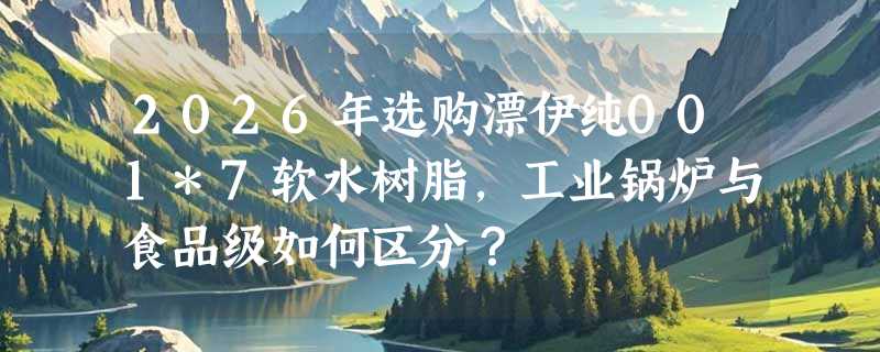 2026年选购漂伊纯001*7软水树脂，工业锅炉与食品级如何区分？