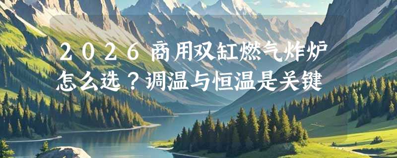 2026商用双缸燃气炸炉怎么选？调温与恒温是关键