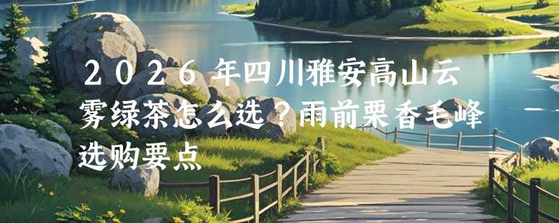 2026年四川雅安高山云雾绿茶怎么选？雨前栗香毛峰选购要点
