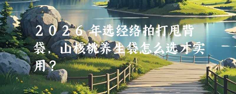 2026年选经络拍打甩背袋，山核桃养生袋怎么选才实用？