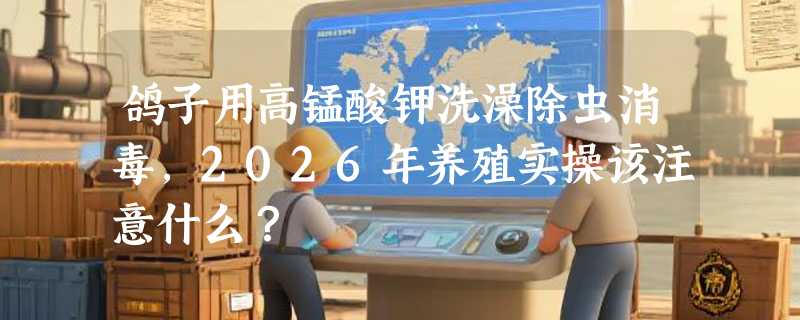 鸽子用高锰酸钾洗澡除虫消毒，2026年养殖实操该注意什么？