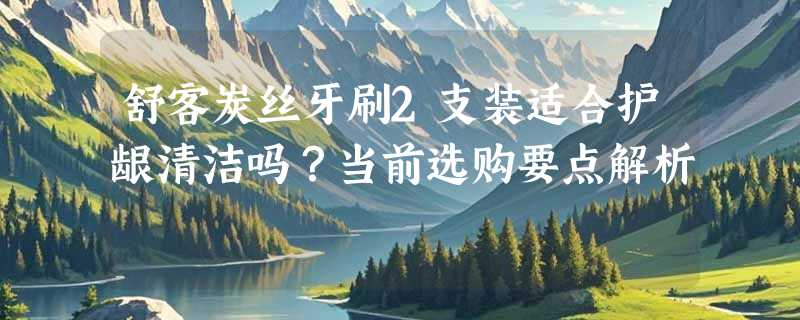 舒客炭丝牙刷2支装适合护龈清洁吗？当前选购要点解析
